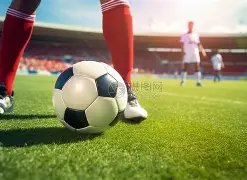 电子,产品,MG电子,MG,MG官网,MG电子,MG游戏,MG视讯