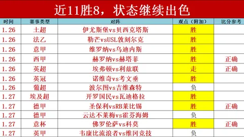 马维迪迪制胜射门，莱斯特城一球领先领先对手