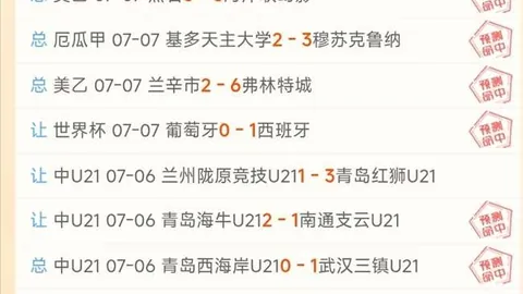 临场数据分析攻略：高效把握关键点